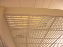 Open Grid Ceiling